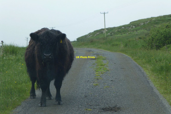 Photo 6"x4" On the road to Portnahaven Claddach c2017