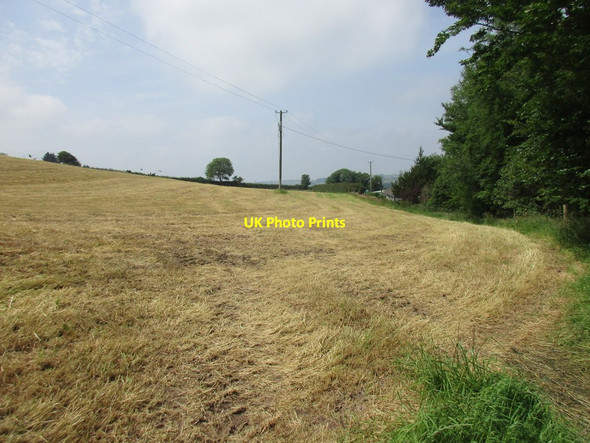 Photo 6"x4" Cut hayfield near Poulanargid Poulanargid c2017