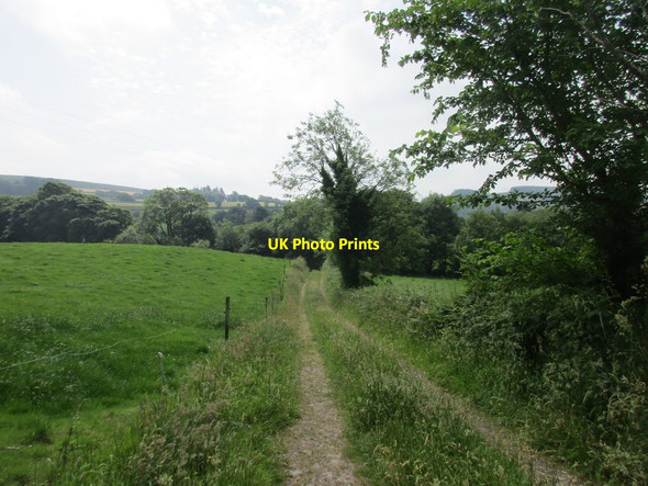 Photo 6"x4" Farm track near Poulanargid Poulanargid c2017