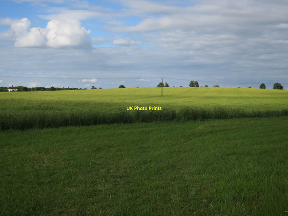 Photo 6"x4" Oilseed rape field by Newton Road Little Shelford c2017