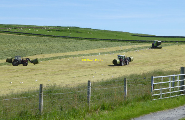 Photo 6"x4" Making hay while the sun shines Daill\/NR3662 c2017