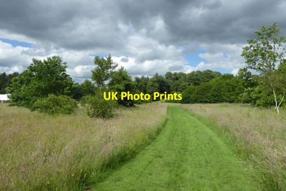 Photo 6"x4" Paths through grass meadows Bulmer\/SE6967 c2017