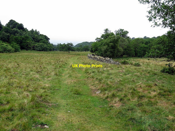 Photo 6"x4" Bishopfield Haugh Catton\/NY8257 c2017