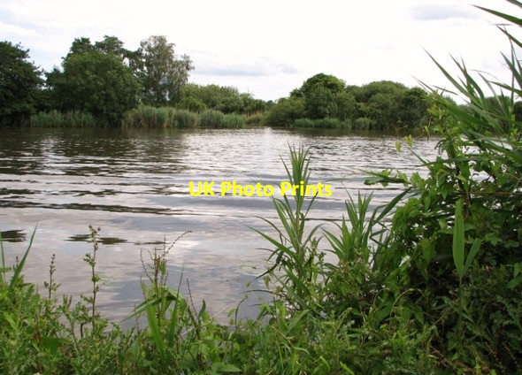 Photo 6"x4" View across the River Yare towards Strumpshaw Marsh Surlingham c2017