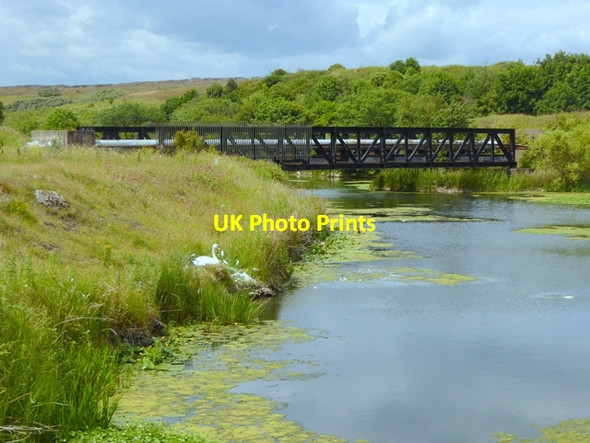 Photo 6"x4" Pond in Coatham Marsh Nature Reserve Dormanstown c2017