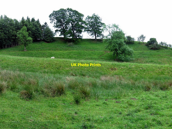 Photo 6"x4" Old track near Bridge Eal Catton\/NY8257 c2017