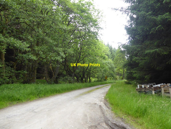 Photo 6"x4" Track to Mains of Kynachan Tummel Bridge c2017
