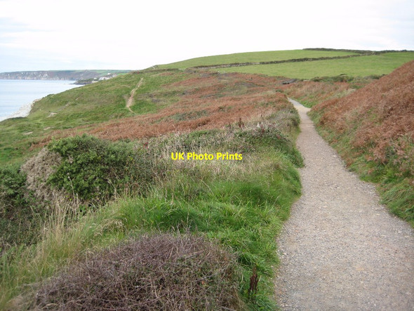 Photo 6"x4" A gentle section of the coast path Porthleven c2010