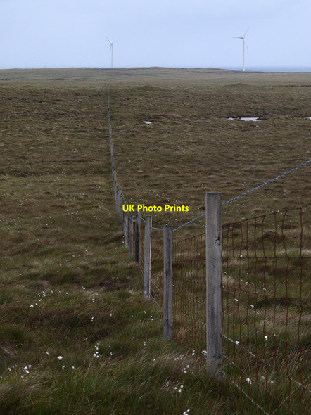 Photo 6"x4" Fence, Tom a' Chlamhain, Isle of Lewis Barbhas Uarach c2017