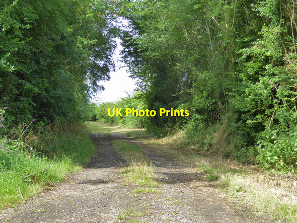 Photo 6"x4" Meeting Lane Ridgewell\/TL7340 c2017