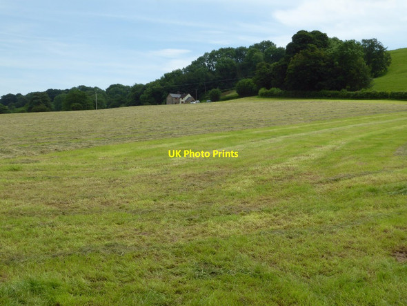 Photo 6"x4" Field at Farlow Farlow c2017