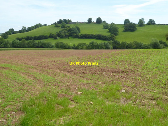 Photo 6"x4" Farmland below Hillhead Farlow c2017