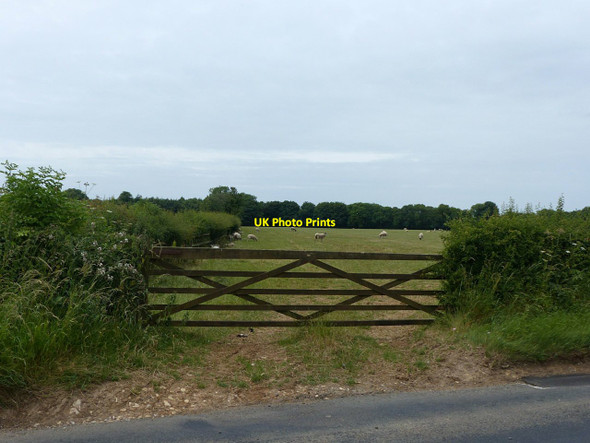 Photo 6"x4" 5-bar gate, Bowldown Road Lasborough c2017