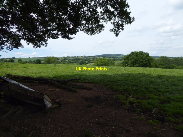 Photo 6"x4" Farmland near Silvington Bromdon c2017