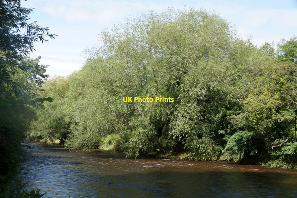 Photo 6"x4" River Esk at the Haugh, Musselburgh Musselburgh c2017