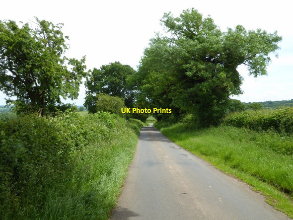 Photo 6"x4" Country road near Silvington Bromdon c2017