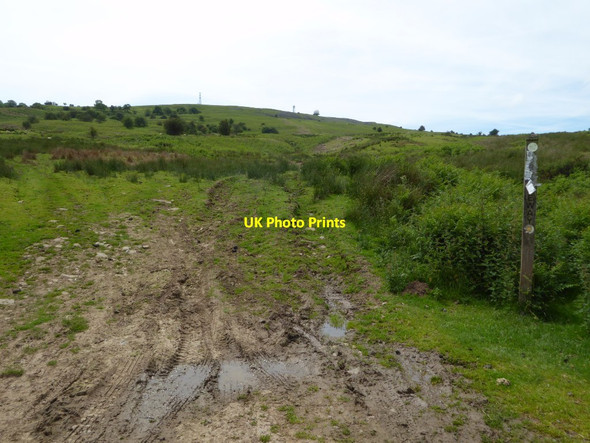 Photo 6"x4" Footpath on Titterstone Clee Hill Cleeton St Mary c2017
