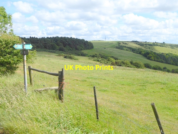 Photo 6"x4" The slopes of Walbury Hill Combe\/SU3760 c2017