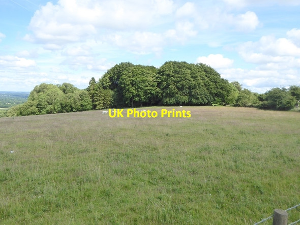 Photo 6"x4" West Woodhay Down Combe\/SU3760 c2017