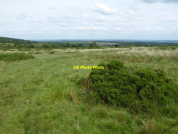 Photo 6"x4" Catherton Common Crumpsbrook c2017