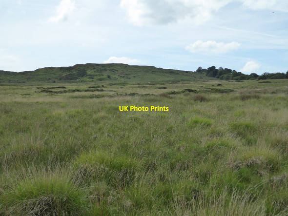 Photo 6"x4" View to Magpie Hill Cleeton St Mary c2017