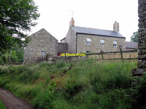 Photo 6"x4" Monk from track near the Tithe Barn Bearsbridge c2017