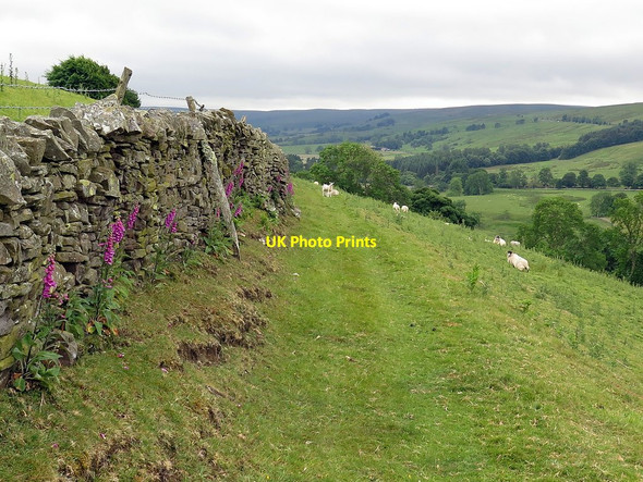 Photo 6"x4" Path near Keenleyside Hill Keenley c2017