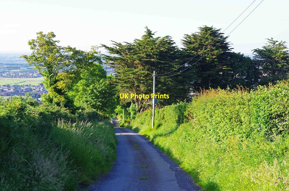 Photo 6"x4" Horans Lane, Killinarden, near Dublin Jobstown c2017