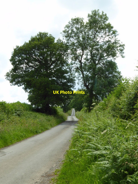 Photo 6"x4" Common Lane Hollywaste c2017