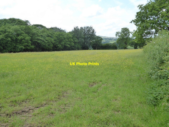 Photo 6"x4" Field near Hillocks Farm Hollywaste c2017
