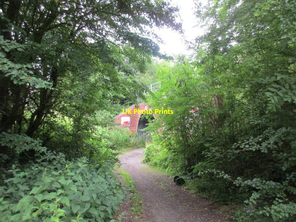 Photo 6"x4" Fleet Lane Bridge, Methley Wood Row\/SE3827 c2017