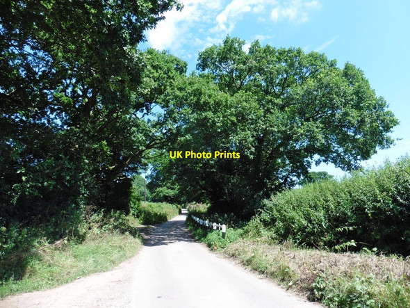Photo 6"x4" Minor road to Buckerell Buckerell c2017