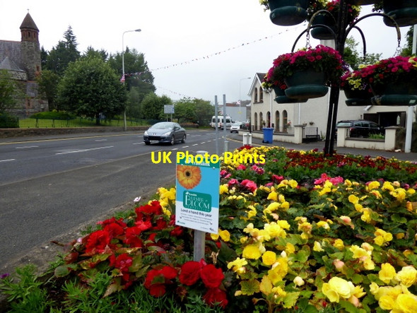 Photo 6"x4" Floral display, Omagh Omagh c2017