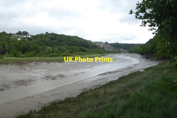 Photo 6"x4" Along the River Avon Sneyd Park c2017