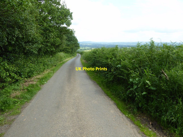 Photo 6"x4" Road from Doddington to Earls Ditton Foxwood c2017