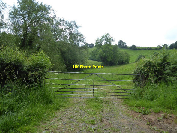 Photo 6"x4" Field gate Aston Bank c2017