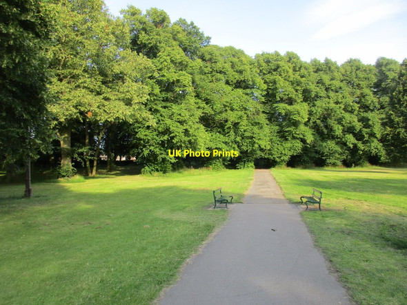 Photo 6"x4" Path in Weelsby Woods Cleethorpes c2017