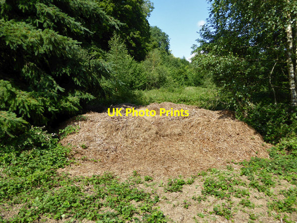 Photo 6"x4" Heap of hay Great Bower c2017