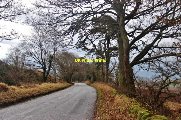 Photo 6"x4" Minor road North East of Millearne St David's c2016