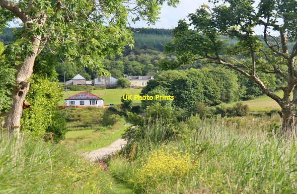 Photo 6"x4" Rural Argyll at Toward Toward c2017