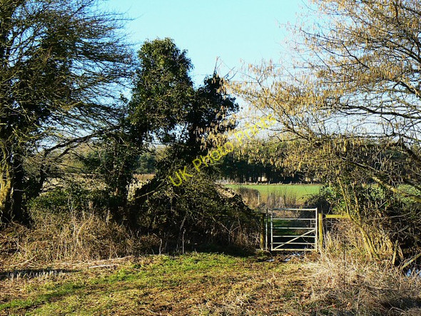 Photo 6"x4" Bridleway north of Compton Bassett Compton Bassett c2009