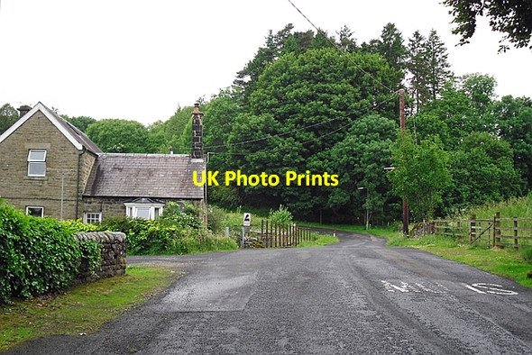 Photo 6"x4" Site of level crossing on dismantled Waverley railway Newcastleton or Copshaw Holm c2017