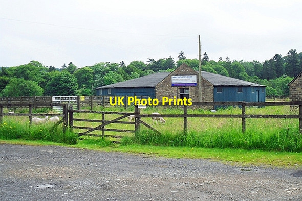 Photo 6"x4" Newcastleton Mart Newcastleton or Copshaw Holm c2017