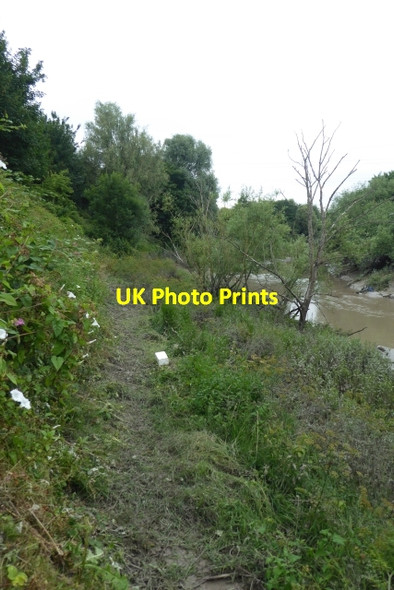 Photo 6"x4" Path beside the Avon Netham c2017