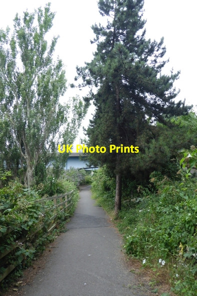 Photo 6"x4" Cycle path along the river bank Netham c2017