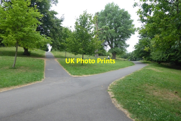 Photo 6"x4" Victoria Park Windmill Hill\/ST5971 c2017