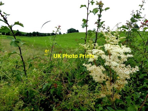 Photo 6"x4" Carran Townland Ballygawley\/H6357 c2017