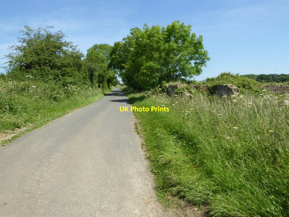 Photo 6"x4" Country road in Hammersmith Bottom Eastleach Turville c2017