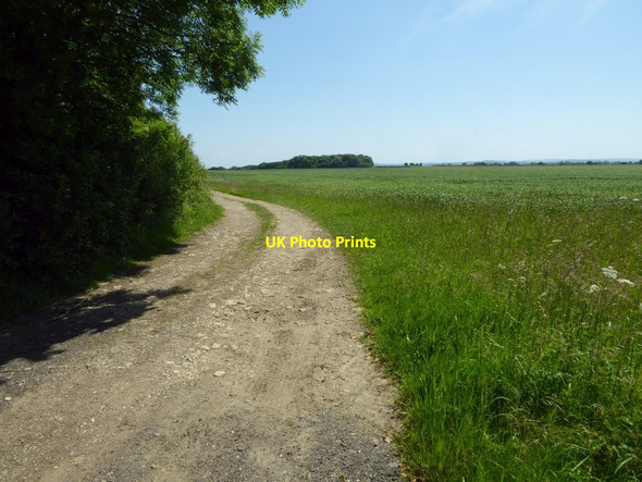 Photo 6"x4" Farmland track Netherton\/SP1504 c2017