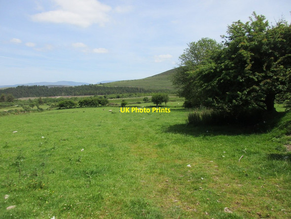 Photo 6"x4" Grassland below Knockmeal Newcastle\/S1213 c2017